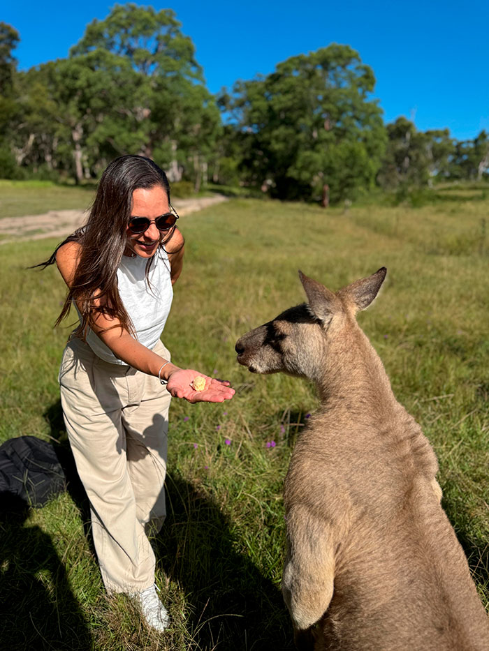 muvon-travel-canguro